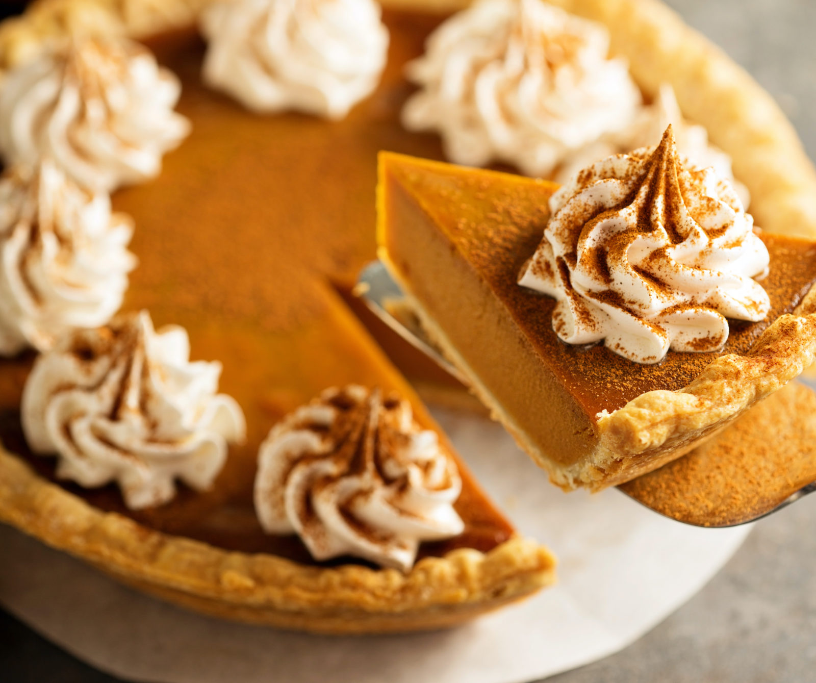 Sugar Free Pumpkin Pie Recipe With Stevia